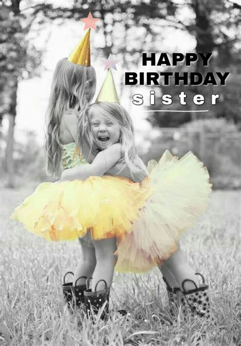 Happy Birthday Sister Happy Birthday Sister Funny Sister Birthday