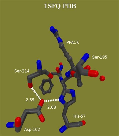 Life Free Full Text Proton Bridging In Catalysis By And Inhibition