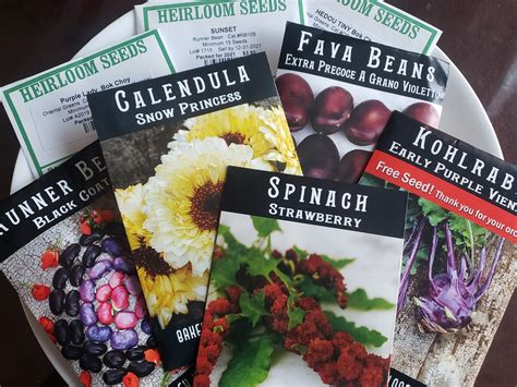Baker Creek Seeds Ct at Cody Wray blog
