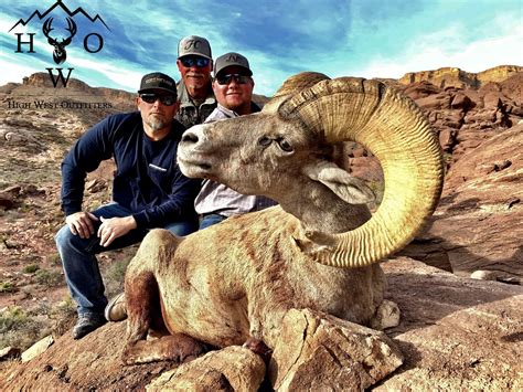 Hunt Texas Desert Bighorn — High West Outfitter