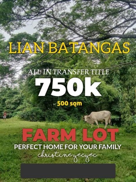 500 Square Meters Farm Lot For Sale At Prenza Lian Batangas