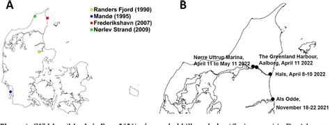 [PDF] The Self-Stranding Behavior of a Killer Whale (Orcinus orca) in Inner Danish Waters and ...