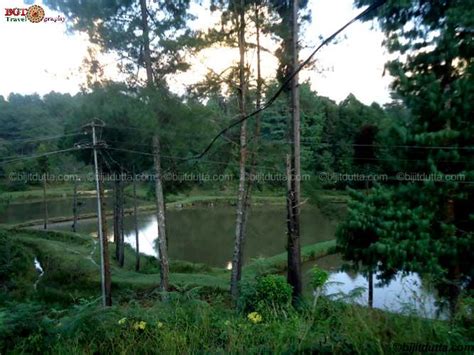 High Altitude Fish Seed Farm Tarin Ziro Bijits Organic Travel