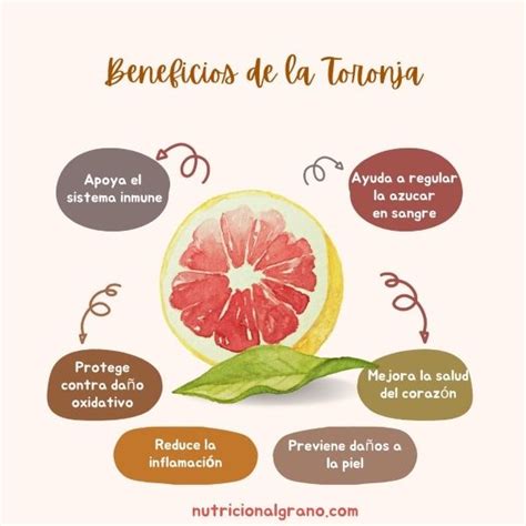 6 Beneficios de la Toronja que No Puedes Ignorar Nutrición al Grano