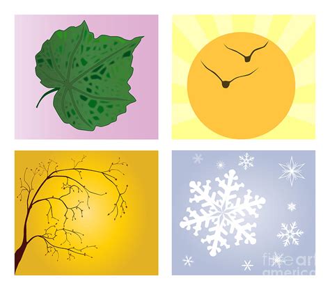 The Four Seasons Digital Art By Bigalbaloo Stock Fine Art America