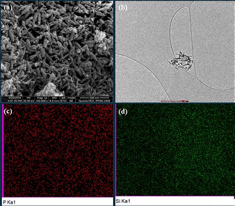 Novel Nano Hydroxyapatite Silicaadded Glass Ionomer Cement For Dental