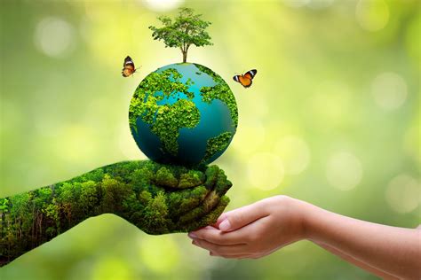 World Environment Day Quiz Questions And Answers