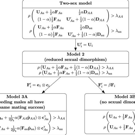 Two Examples Of Population Dynamics Of A Two Sex Two Stage Mendelian