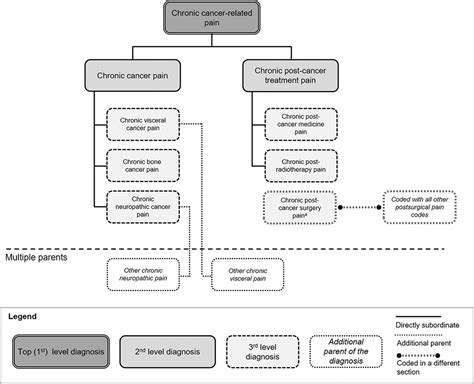 The Iasp Classification Of Chronic Pain For Icd 11 Chronic Pain