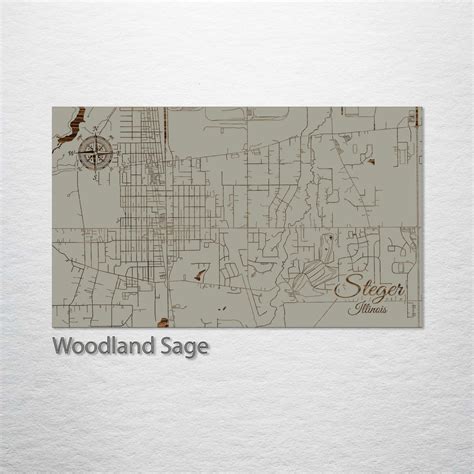 Steger, Illinois Street Map – Fire & Pine