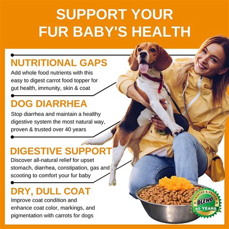 Can Carrots Cause Diarrhea In Dogs