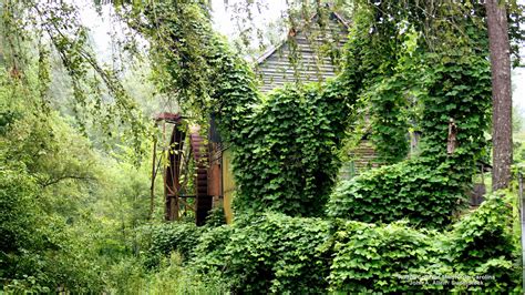 Kudzu Covered Mill North Carolina Wallpapers Hd Desktop And Mobile