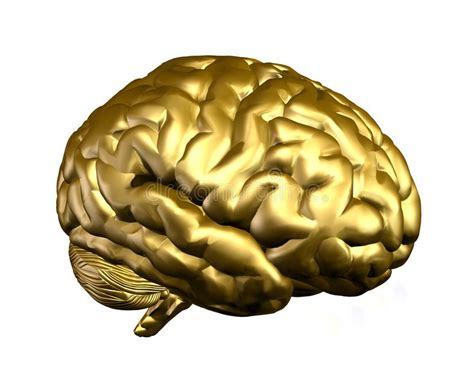 Golden Brain Stock Illustration Illustration Of Radiant 8722916