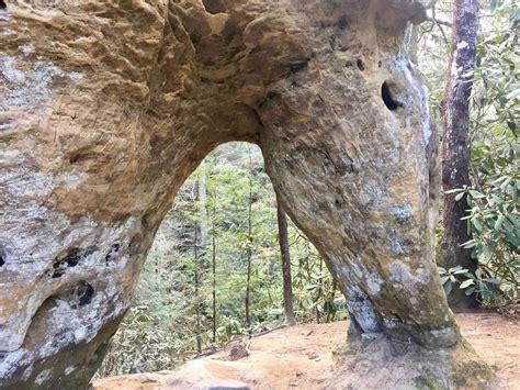 Angel Windows Trail 06 Miles In Pine Ridge Ky At Red River Gorge