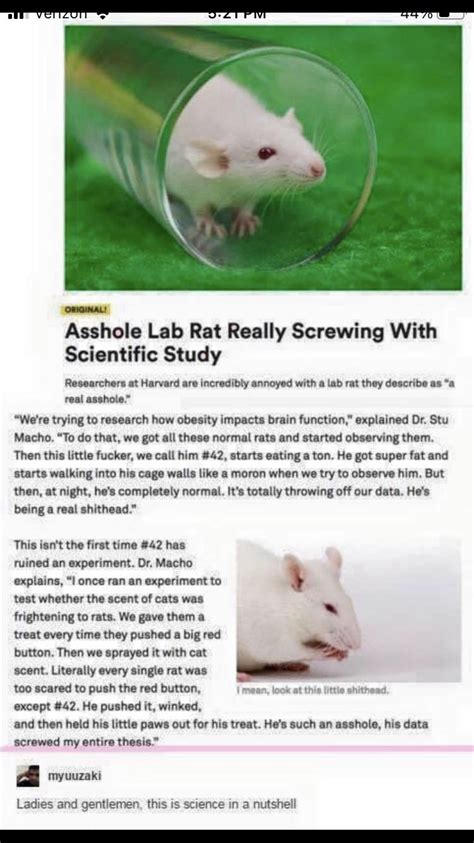 The lab rat, ruiner of data : r/Bossfight