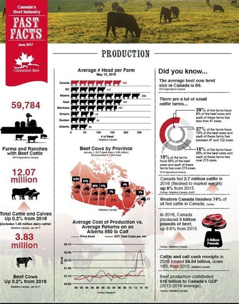 Canadian Beef Industry Fast Facts Canadian Beef