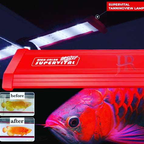 Jual Lampu Tanning View Led Aquarium Arwana Supervital Red Arowana