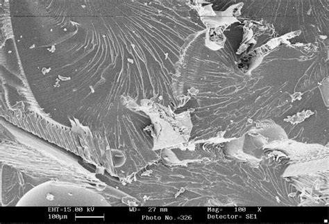 Scanning electron micrograph for 0.5% CR and 5.0% CFF composite ...