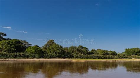 Lush Green Vegetation Grows On The Bank Of The Blue River Stock Image