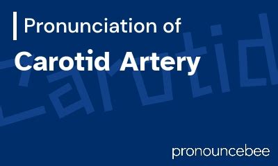 carotid artery how to pronounce