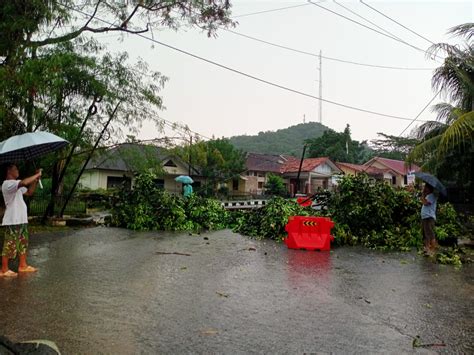 Angin Kencang Sabtu Sore Puluhan Rumah Rusak Pohon Bertumbangan