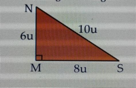 Calcula el área de la región triangular MNS Brainly lat