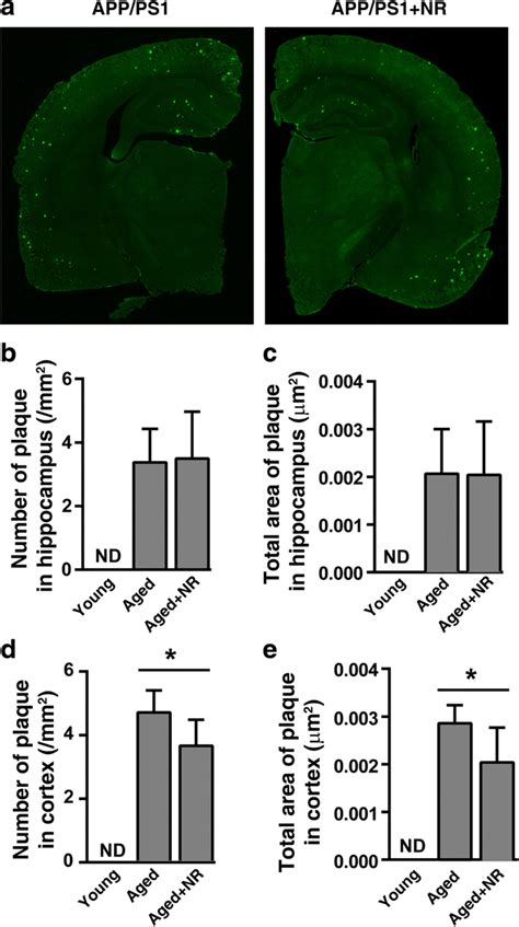 Effects Of Nr On Aβ Formation In App Ps1 Mice A Representative Images