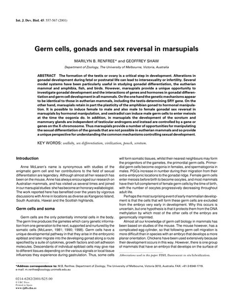 PDF Germ Cells Gonads And Sex Reversal In Marsupials