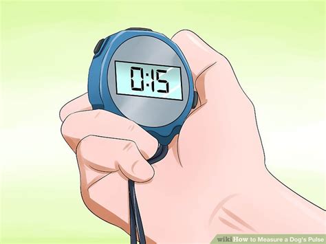 10 Simple Steps To Find The Beat: Learning To Feel A Dog's Pulse