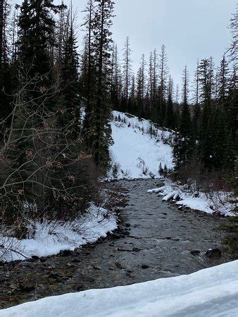 Northwest Montana Adventures (Kalispell) - 2020 All You Need to Know ...