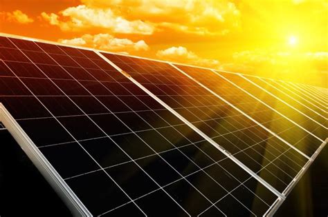 Perovskite Solar Cells Market Statistics Segment Trends