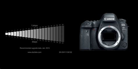 Canon Vs Nikon Which Camera Is The Best For You