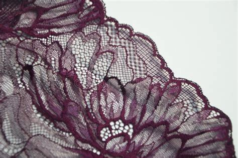 Lace Element For Finishing Clothes Lingerie Beautiful Dark Plum Lacy Background Stock Image