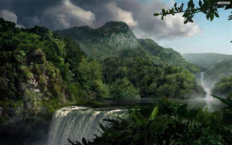 jungle wallpapers wallpaper cave