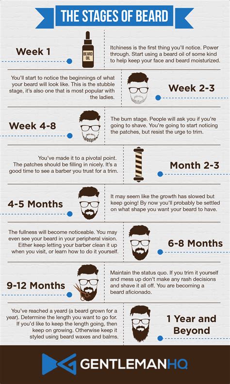 Growing A Beard Stages | Hot Sex Picture