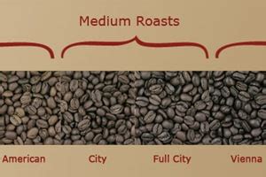 Guide to Coffee Roasting Levels with Charts! Info Before You Buy - Procaffeination