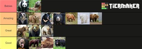 Bear Species And Subspecies Tier List Community Rankings Tiermaker