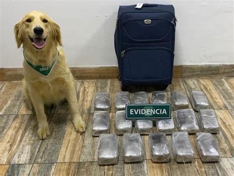 Os Carabineros Logra Decomisar Millonaria Carga De Droga En Bus