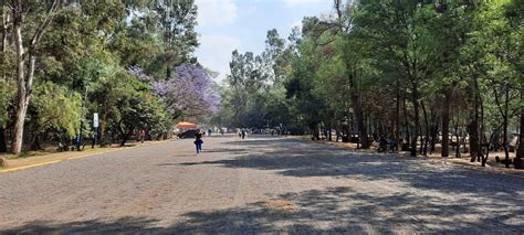 Bosque De Nativitas Xochimilco Cdmx Lugares Para Visitar