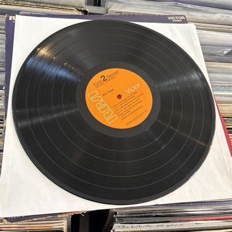 HOT TUNA SELF TITLED Vinyl LP Record Album ULTRASONIC CLEANED EBay