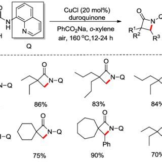 Scheme Cu Oac Catalyzed Intramolecular C Sp H Amidation For