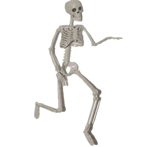 Buy Hopiumy Poseable Full Life Size Human Skeleton Halloween Decoration