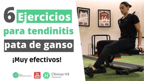 Cu Les Son Los Mejores Ejercicios Para Aliviar La Tendinitis De La