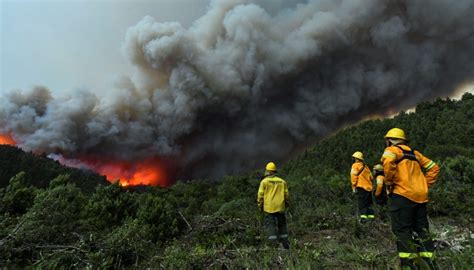 Siete Provincias Registran Focos De Incendios Forestales Activos