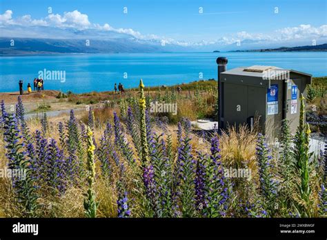 Lake Pukaki Shoreline Walk Hi Res Stock Photography And Images Alamy