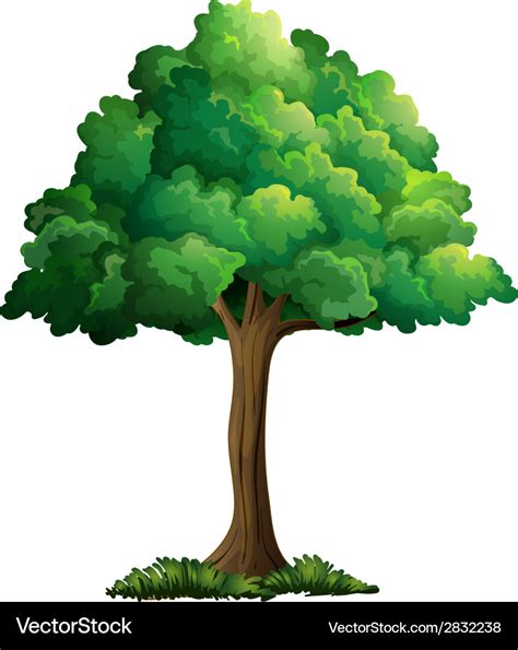 A Tree Royalty Free Vector Image Vectorstock