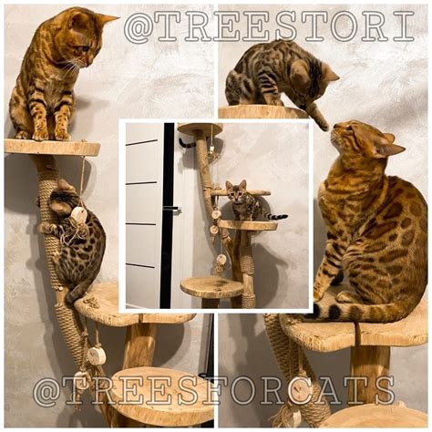 Эксклюзивная когтеточка для кота. Домик для кошки. Дряпка. Когтедралка ...