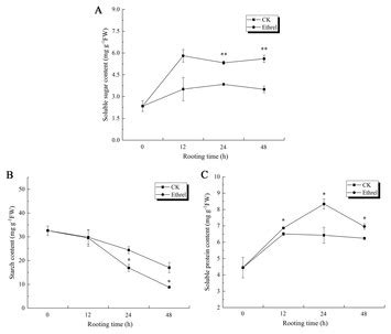 Proteomic analysis reveals key proteins involved in ethylene-induced ... 