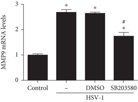Inhibition of p38 MAPK expression alleviated oxidative stress and ... 