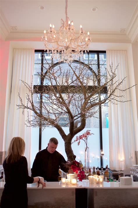 Rental Pussy Willow Lights Luminous Trees